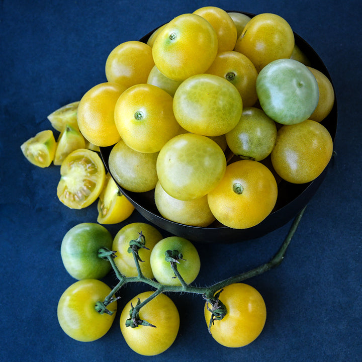 Napa Chardonnay Blush Tomatoes in a bowl on a dark blue background.