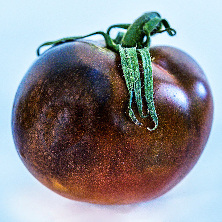 A single Indigo Blue Chocolate Tomato on white background.