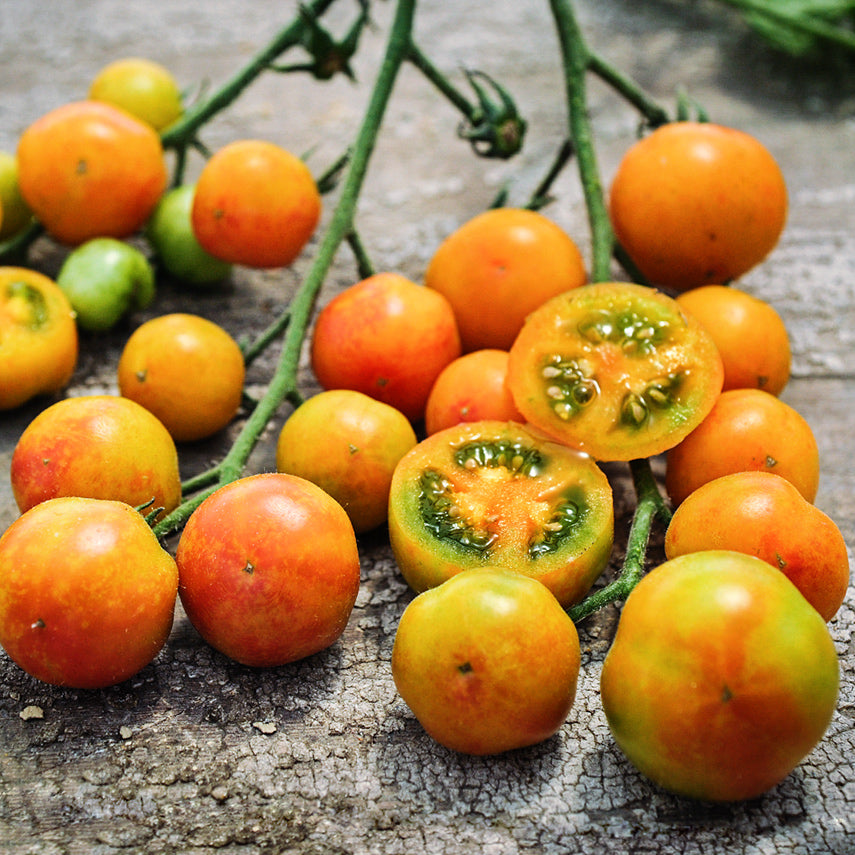 A cluster of whole and cut Isis Candy Cherry Tomatoes on a weathered wooden background.