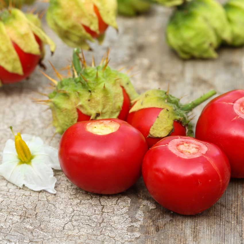Litchi Tomatoes on a wooden board.