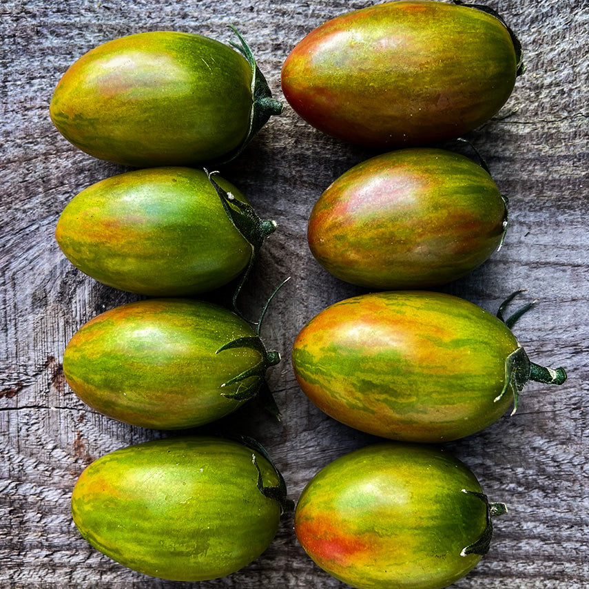 Overhead view of eight colorful Lucky Tiger Tomatoes on a wooden background.