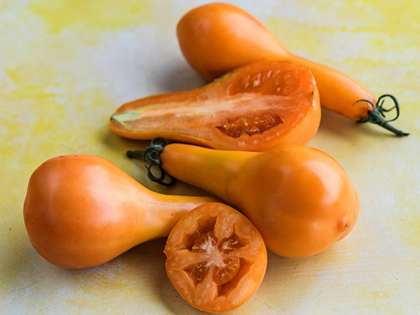 Detail of Mila Orange Pear Tomatoes on yellow background.