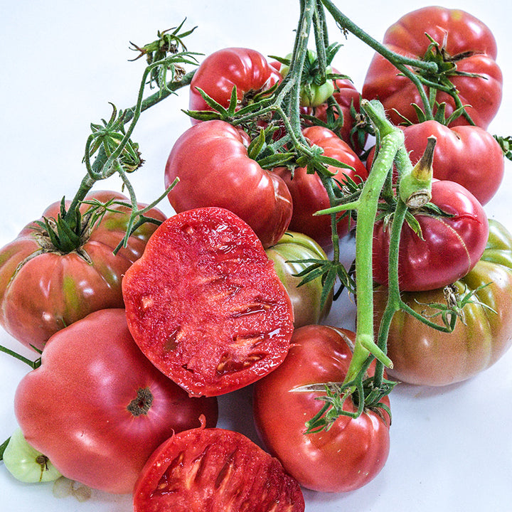 A giant cluster of cut and whole fresh harvested Missouri Pink Love Apple Tomatoes.