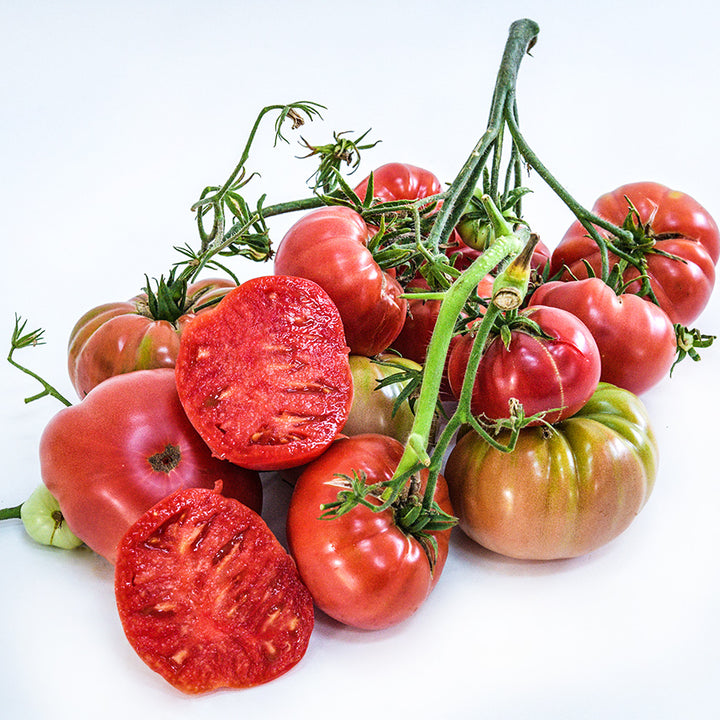 A cluster of more than a dozen Missouri Pink Love Apple Tomatoes still on the vine against a white background.