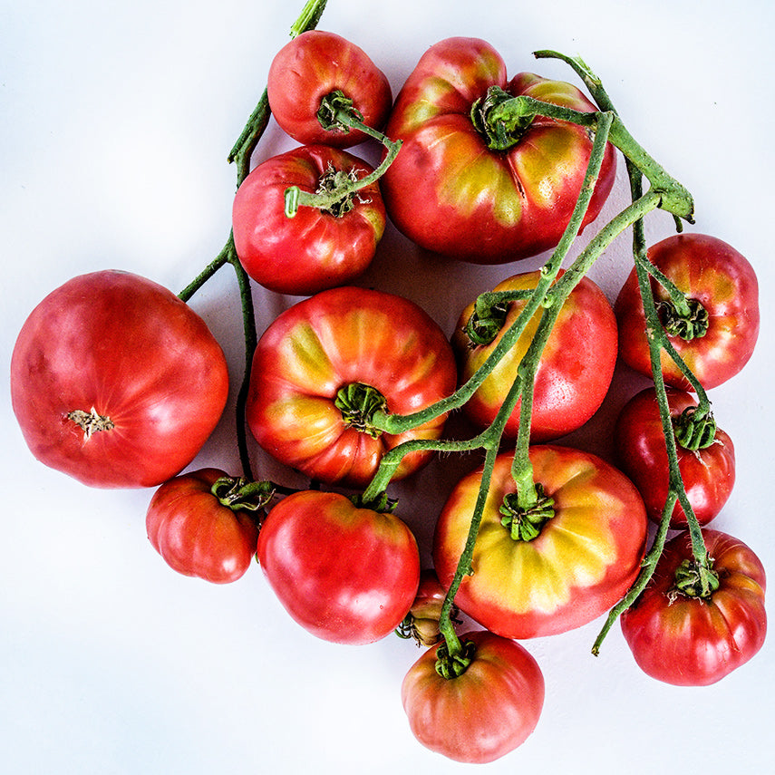 A plentiful cluster of Mortgage Lifter Tomatoes on a white background.
