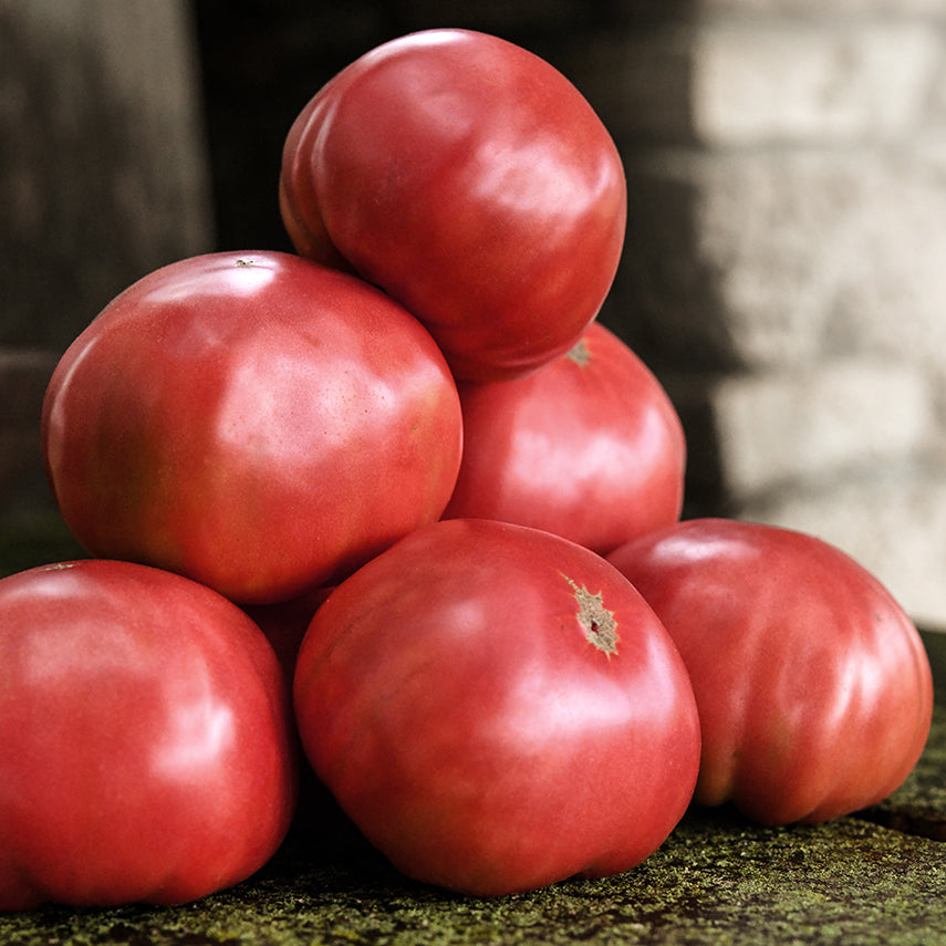 A stack of half a dozen Mortgage Lifter Tomatoes on an old wooden bench.