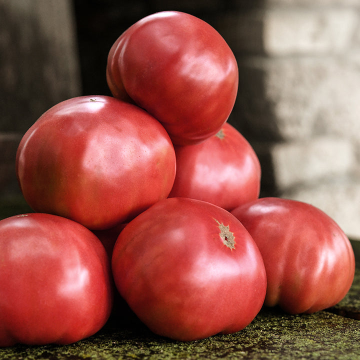 A stack of half a dozen Mortgage Lifter Tomatoes on an old wooden bench.