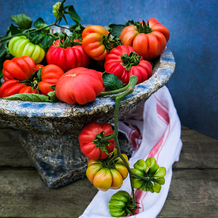 Mushroom Basket Tomatoes in a bowl with a dish towel against a blue background. Image by Lucy Hutchins.