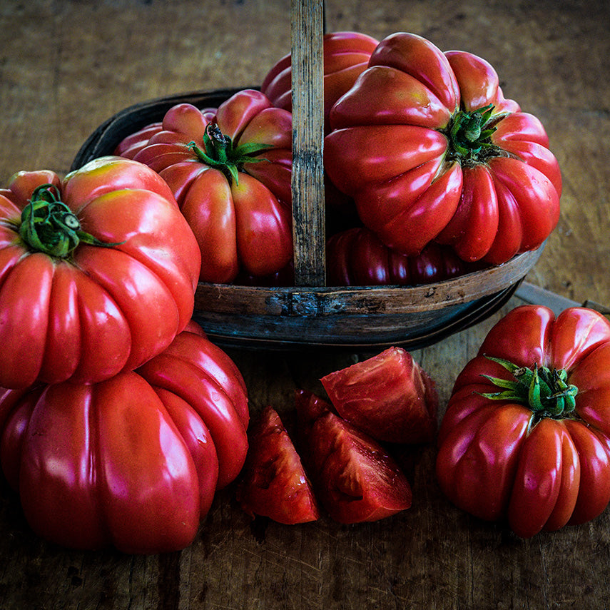 Mushroom Basket Tomatoes in a little English antique basket on a vintage wood background.