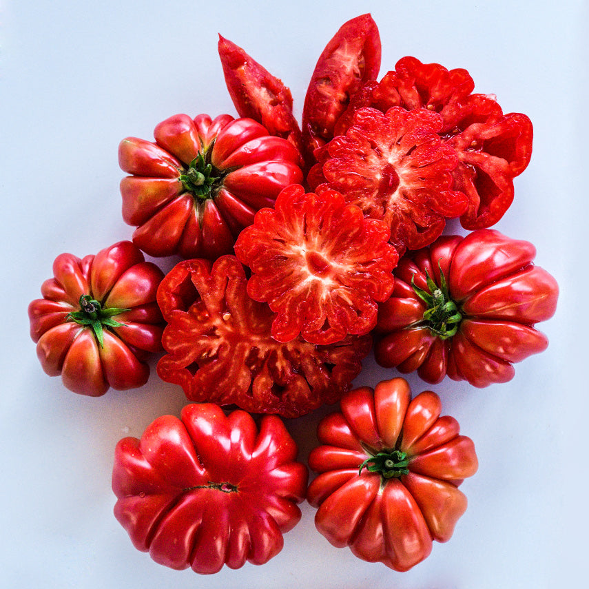 Overhead view of cut and whole Mushroom Basket Tomatoes on white background.