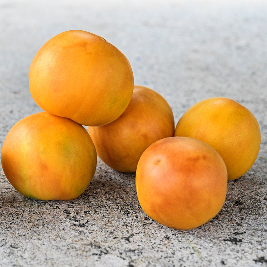 Orange Peach Tomatoes stacked on a stone counter top and look like real peaches.