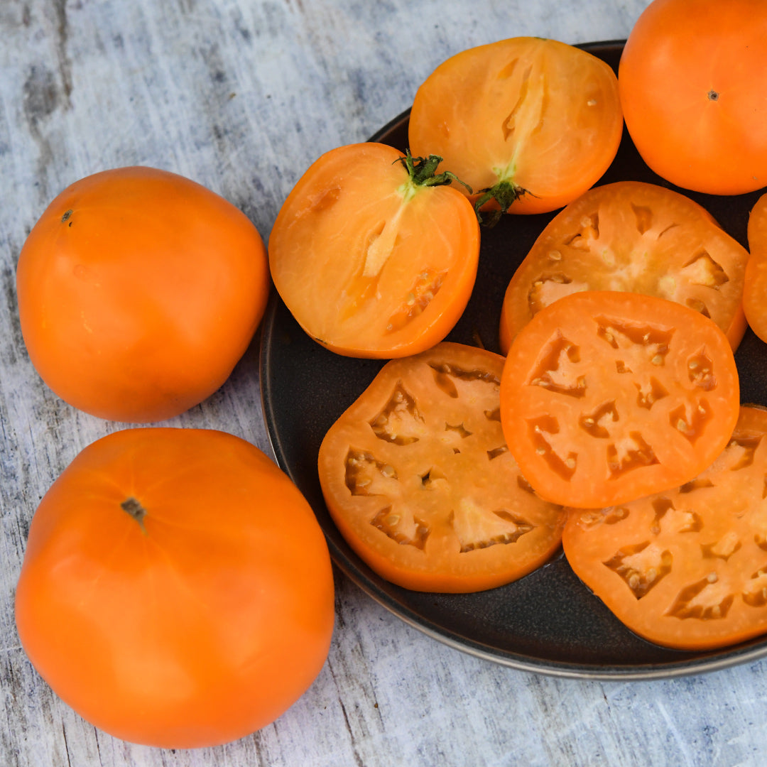 Sliced and whole Woodle Orange Tomatoes on a plate against a light white-washed wood background.