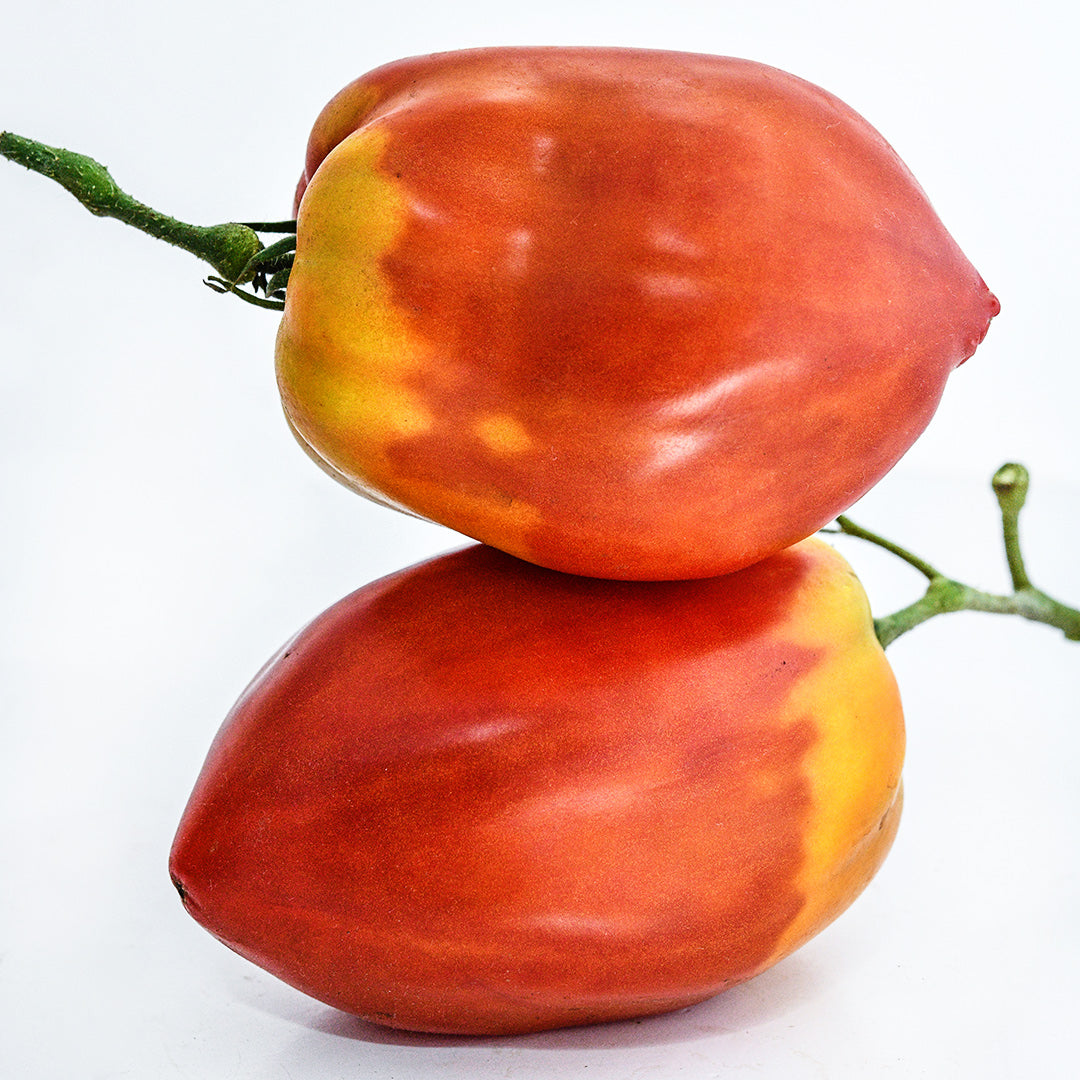 A couple of stacked whole giant Palemeno Tomatoes on a white background.