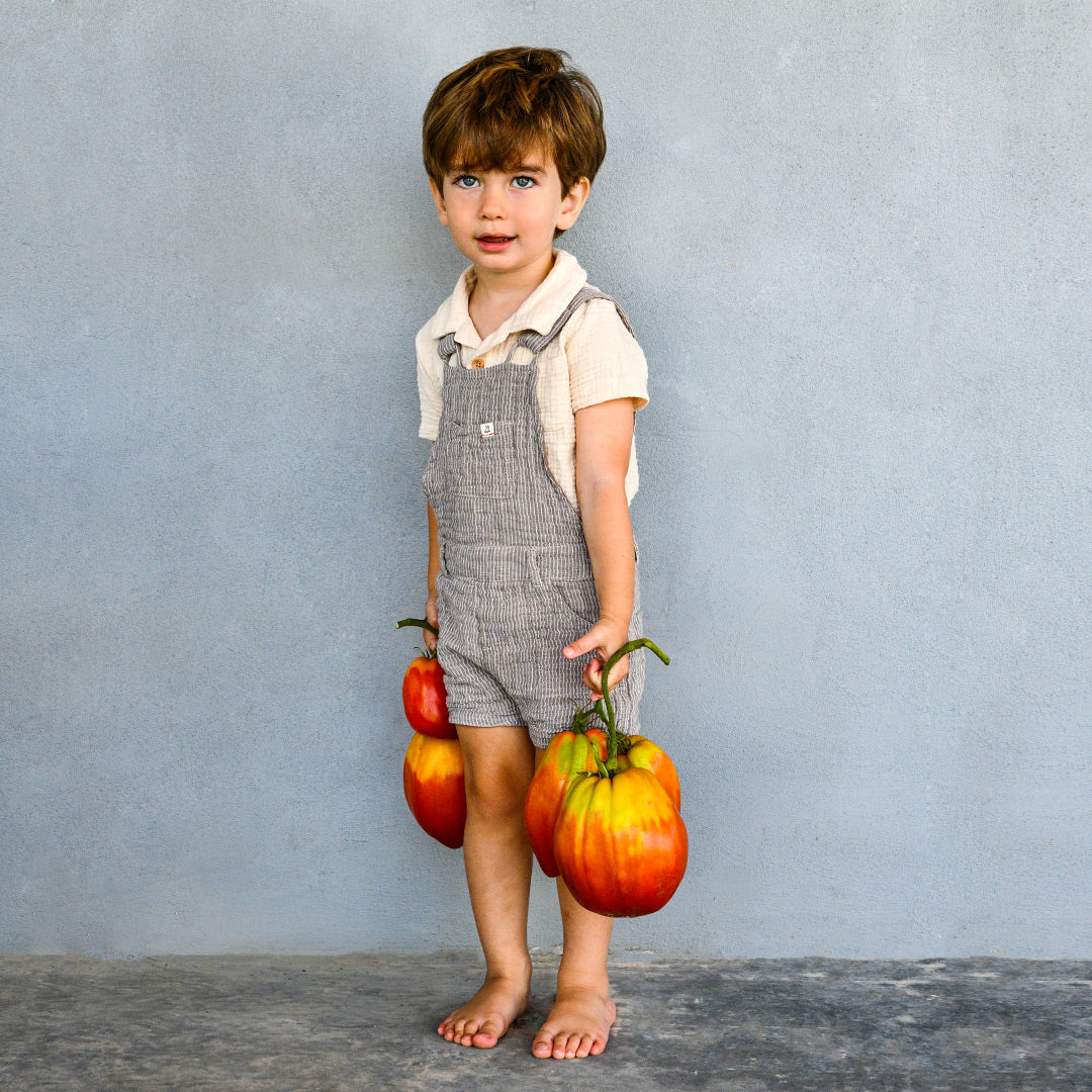 A smiling little boy in overalls stands holding huge Palemeno Tomatoes against a grey wall.