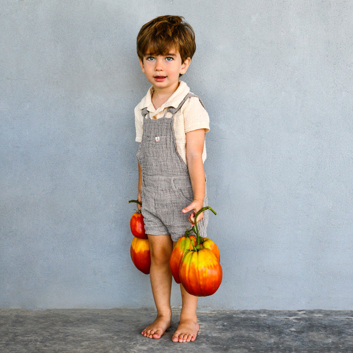 A smiling little boy in overalls stands holding huge Palemeno Tomatoes against a grey wall.