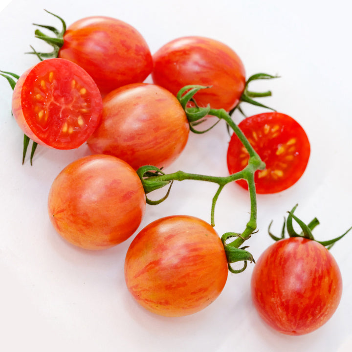 A cluster of Pink Bumble Bee Tomatoes on the vine on a light background.