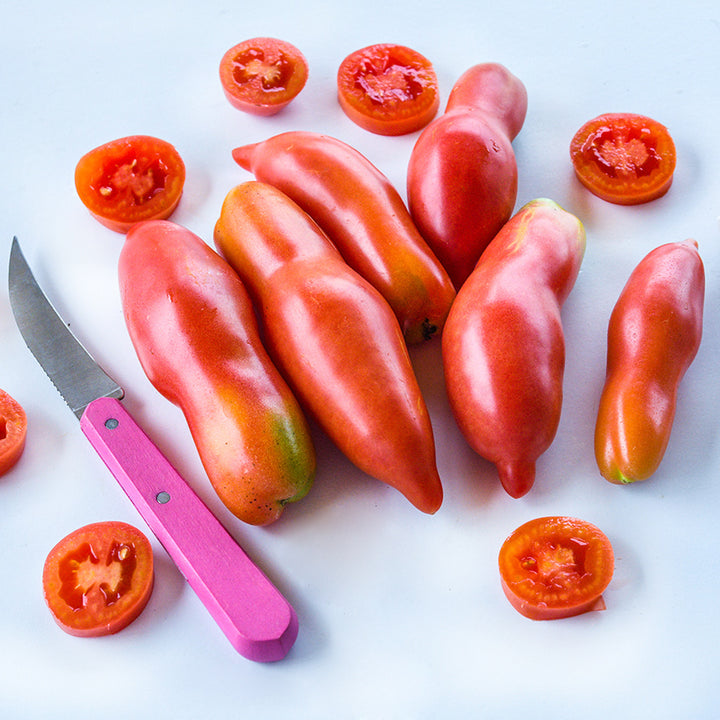 Whole Pink Fang Tomatoes with round slices and pink handled knife on white background.