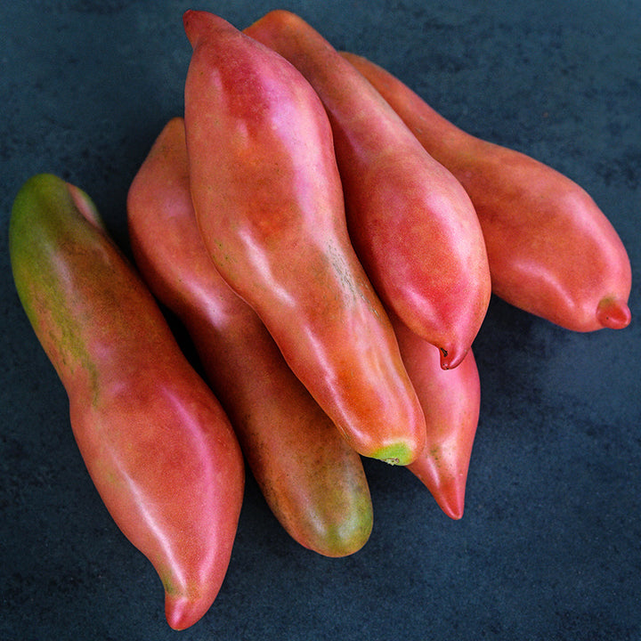 A half dozen Pink Fang Tomatoes stacked on dark jade background.