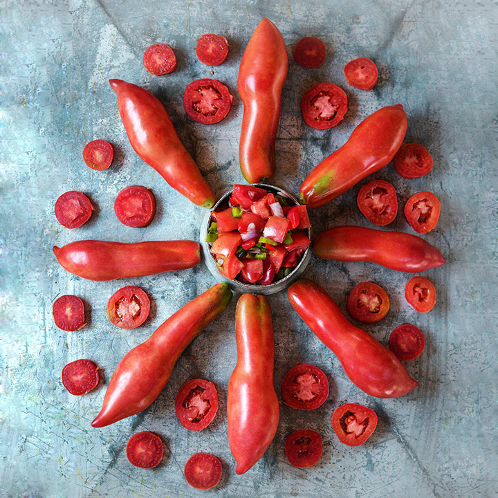 Pink Fang Tomatoes arranged in circle with salsa in the middle on metal background.