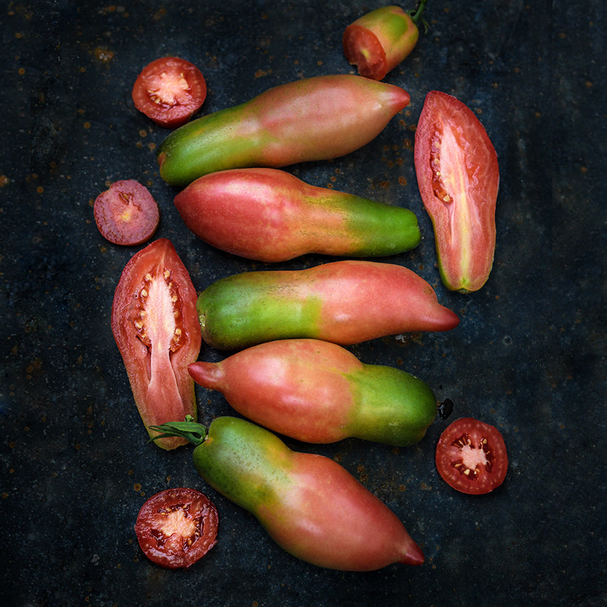 Slightly green Pink Fang Tomatoes on a dark metal background.