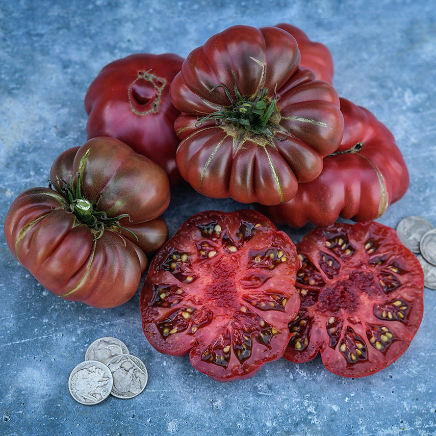 Whole and sliced Purple Calabash Tomatoes with old nickels to show size on a gray background.