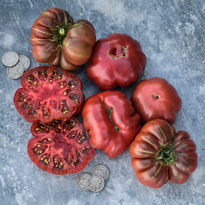 An overhead view of Purple Calabash Tomatoes on a gray background.