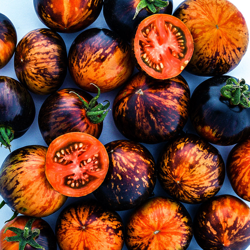 Close-up of a bunch of Queen of the Night Tomatoes with a couple cut in half.