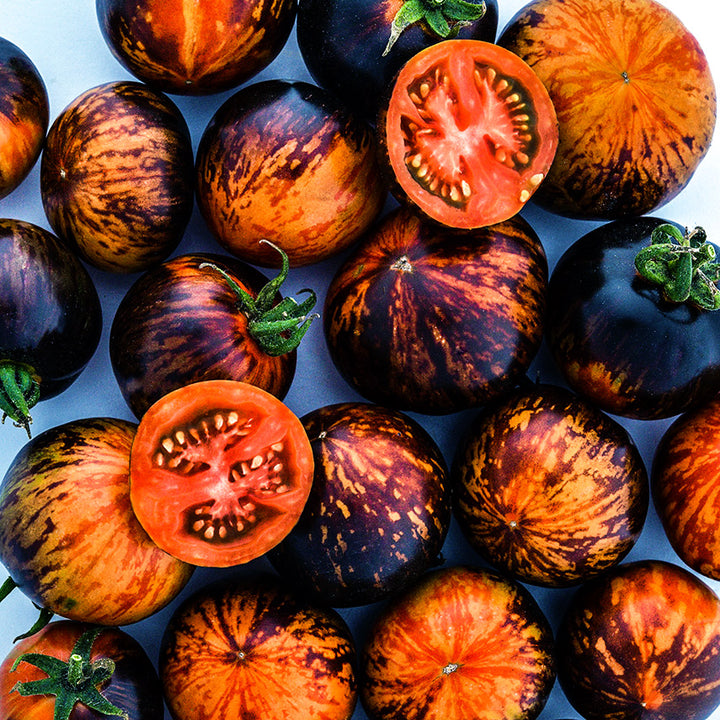 Close-up of a bunch of Queen of the Night Tomatoes with a couple cut in half.