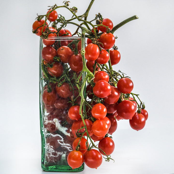 A tall glass vase overflowing with Riesentraube Tomatoes on a light background.