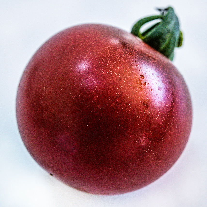 A macro close-up of a single Rosella Tomato on white background.
