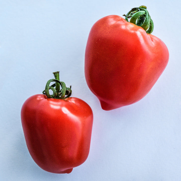 A couple of Sweetheart Cherry Tomatoes on a white background.