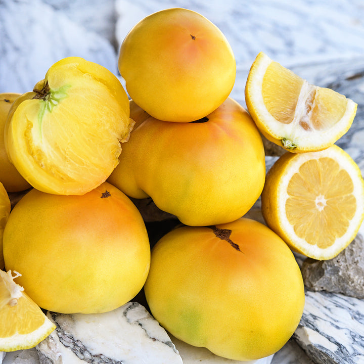 Cut and whole Thorburn's Lemon Blush Tomatoes with lemons on marble.