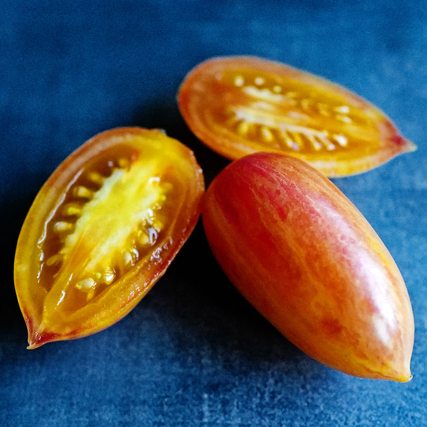 Close-up of cut and whole Tiger Blush Tomatoes on a deep blue background.