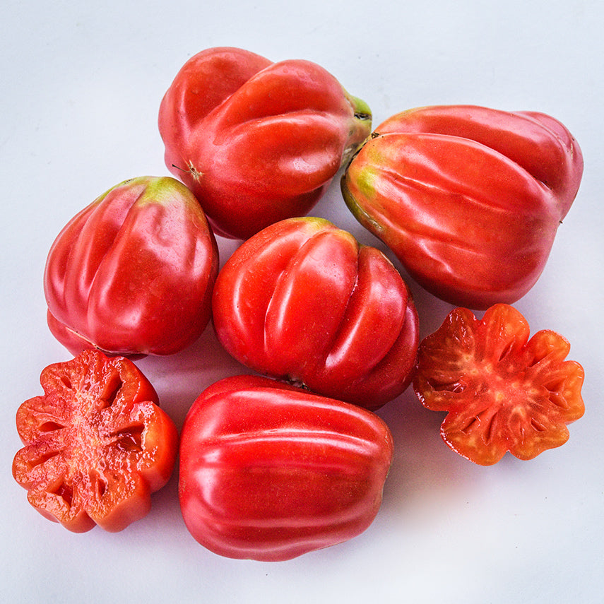 Cut and whole fully ripe Tlacolula Pink Tomatoes arranged on a white background.