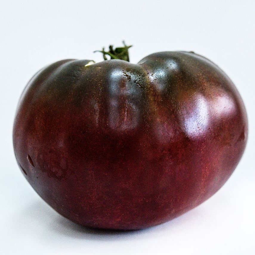 A single True Black Brandywine Tomato on white background.