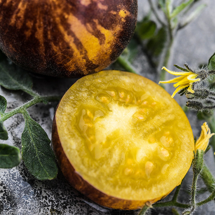 A close-up view of cut and whole Wooly Kate Tomatoes with blooms and foliage.