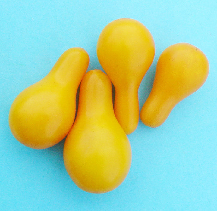 A close-up of a quartet of Yellow Pear Tomatoes on a turquoise blue background.
