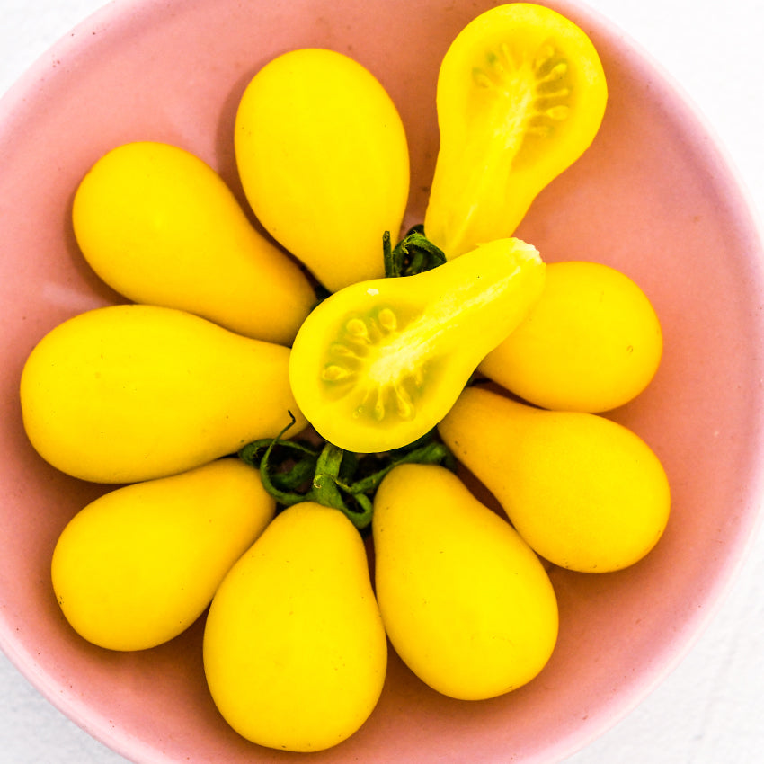 A close-up of Yellow Pear Tomatoes arranged on a pink plate.