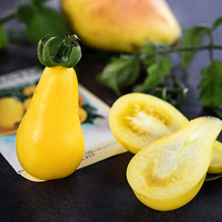 Close-up macro view of cut and whole Yellow Pear Tomatoes with a seed packet, foliage and a pear in the background