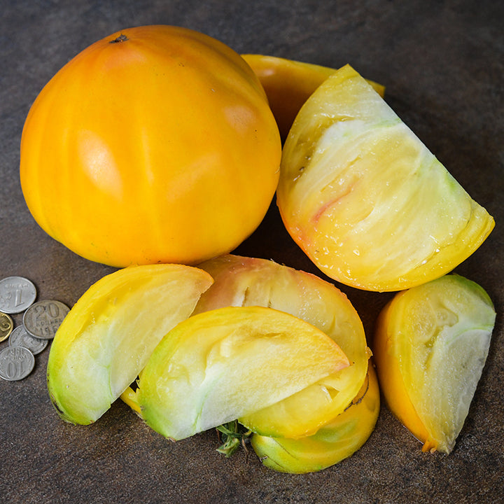 A large Your Majesty Tomato surrounded by sliced tomatoes and Russian Coins on a dark background.
