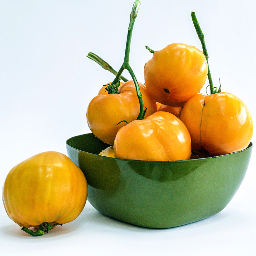 A big green bowl of Your Majesty Tomatoes with a tomato on the side on a white background.
