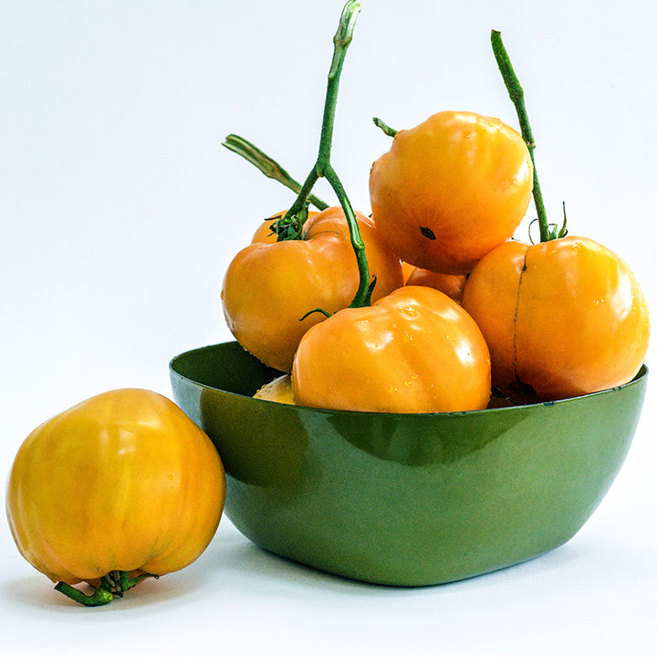 A big green bowl of Your Majesty Tomatoes with a tomato on the side on a white background.