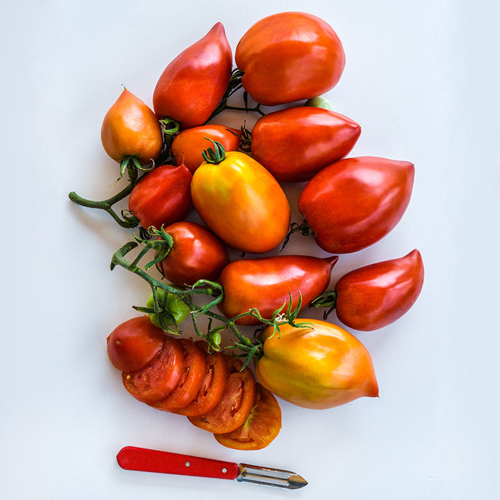 Amish Paste Tomatoes on the vine at varied stages of maturity with some slices and a peeler on the side.
