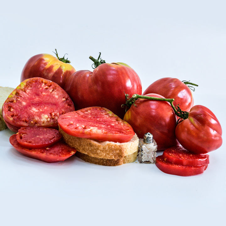 Bread and Salt Tomatoes with bread and salt shaker on a bright white background.