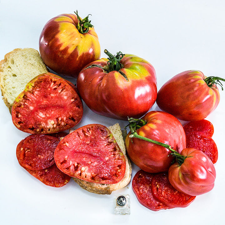 Overhead view of Bread and Salt Tomatoes with bread slices and salt on a high key background.