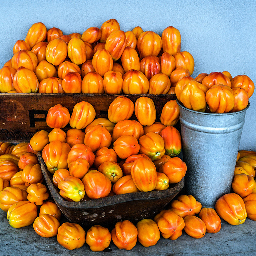 Bushels of California Tulip Tomatoes against a stucco wall.