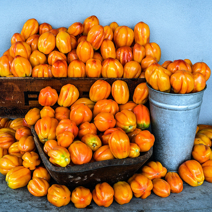 Bushels of California Tulip Tomatoes against a stucco wall.
