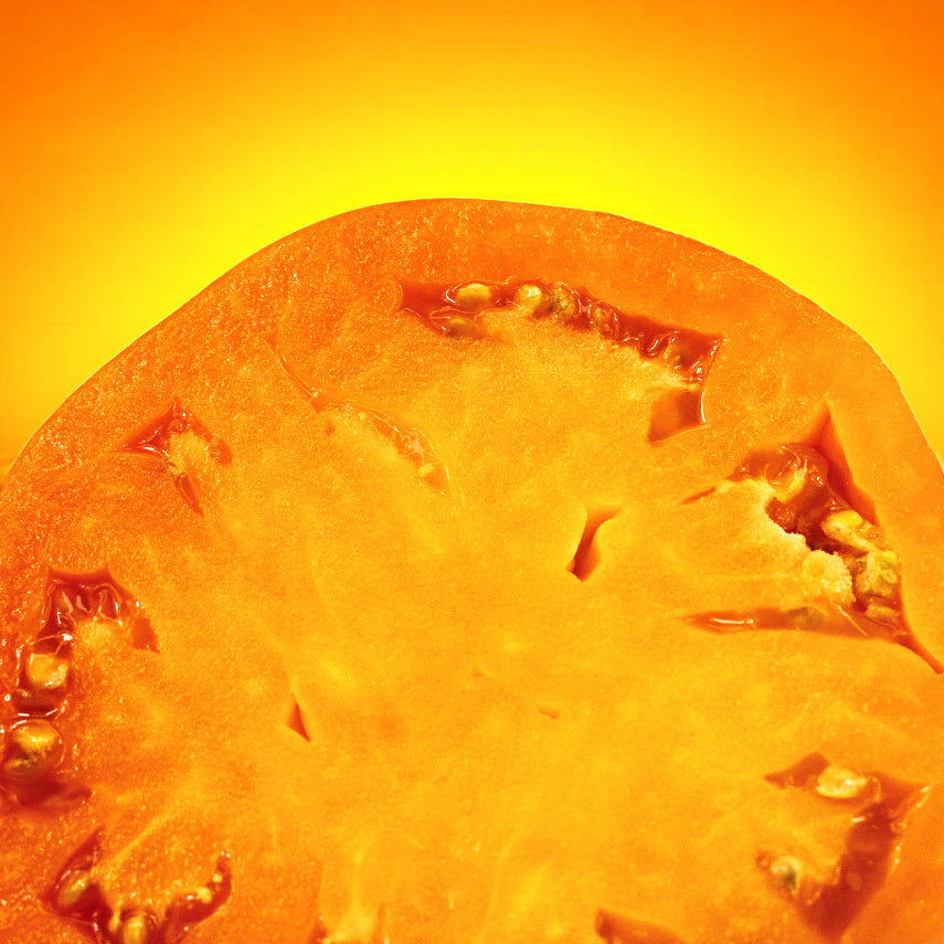 Detailed macro view of a slice of a Dad&