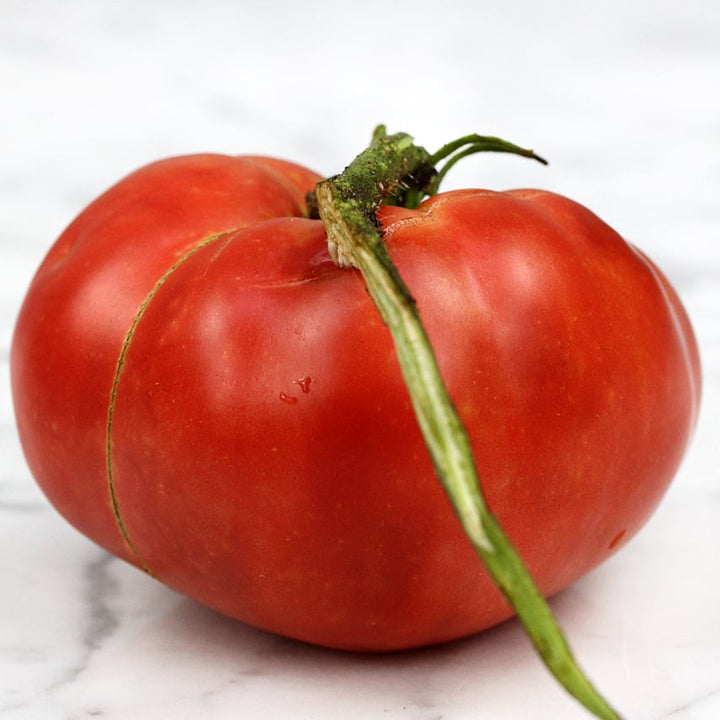 A single Dester Tomato on a white marble countertop.