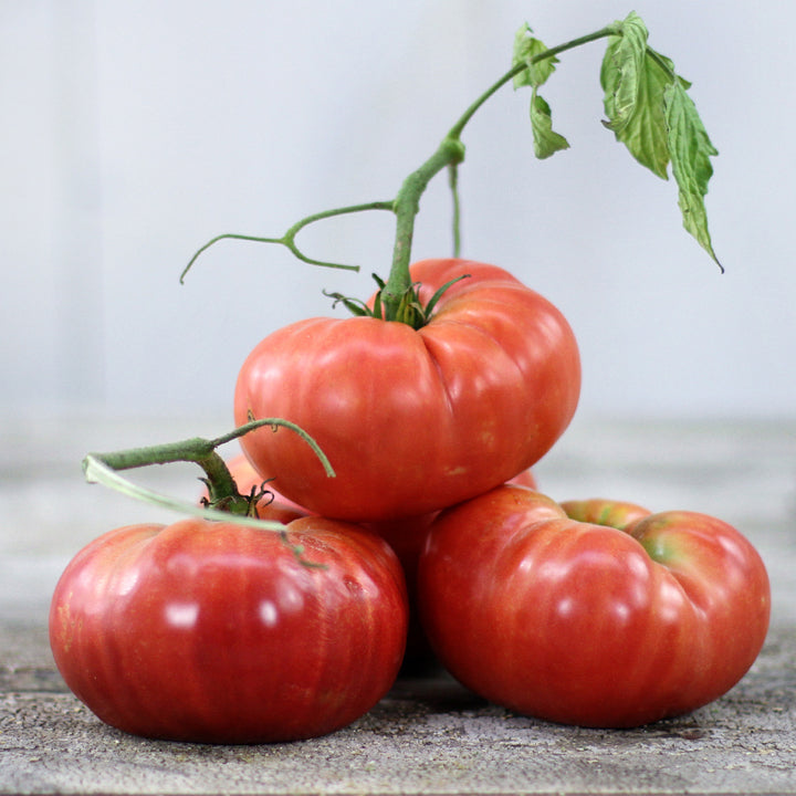 Dester Tomatoes stacked up like pyramid on an old wooden tabletop.